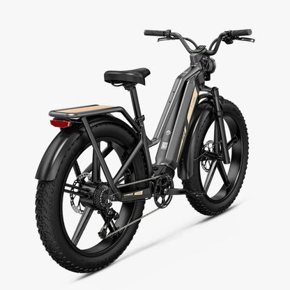 FIIDO TITAN FAT-TYRE TOURING LONG-RANGE ELECTRIC BIKE - 250W - Charge & Glide
