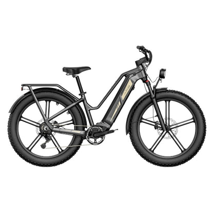 FIIDO TITAN FAT-TYRE TOURING LONG-RANGE ELECTRIC BIKE - 250W - Charge & Glide