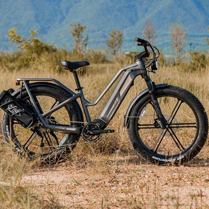 FIIDO TITAN FAT-TYRE TOURING LONG-RANGE ELECTRIC BIKE - 250W - Charge & Glide
