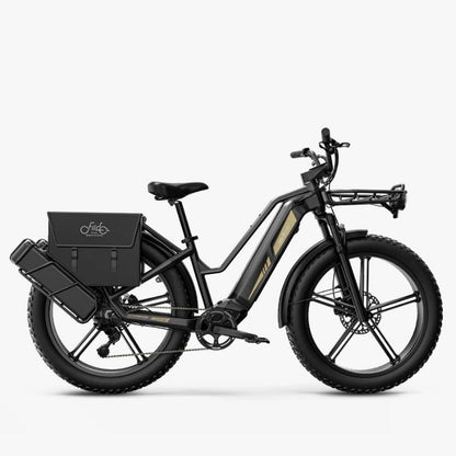 FIIDO TITAN FAT-TYRE TOURING LONG-RANGE ELECTRIC BIKE - 250W - Charge & Glide
