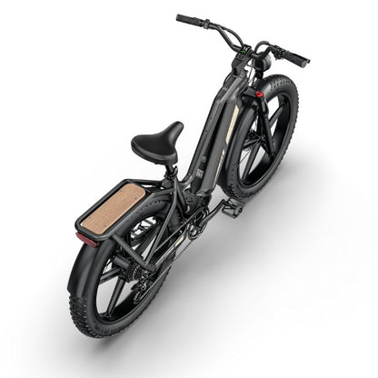 FIIDO TITAN FAT-TYRE TOURING LONG-RANGE ELECTRIC BIKE - 250W - Charge & Glide