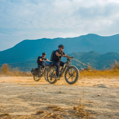 FIIDO TITAN FAT-TYRE TOURING LONG-RANGE ELECTRIC BIKE - 250W - Charge & Glide