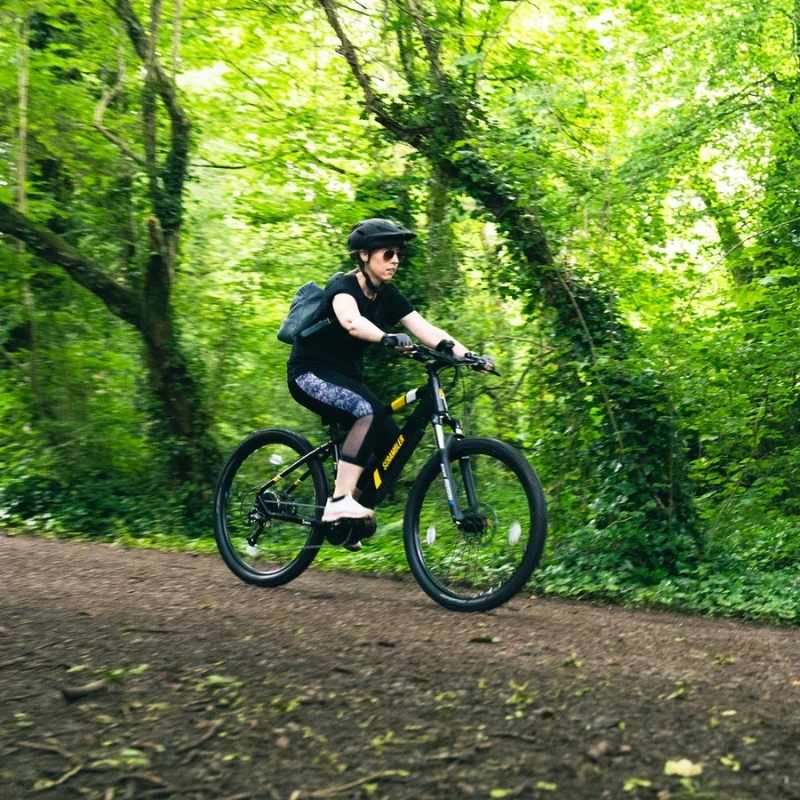 MARK2 SCRAMBLER XC CROSS COUNTRY ELECTRIC MOUNTAIN BIKE 250W - Charge & Glide