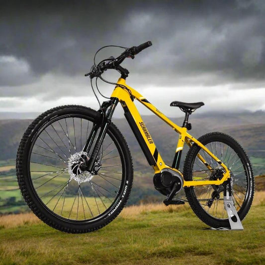 MARK2 SCRAMBLER XC CROSS COUNTRY ELECTRIC MOUNTAIN BIKE 250W - Charge & Glide