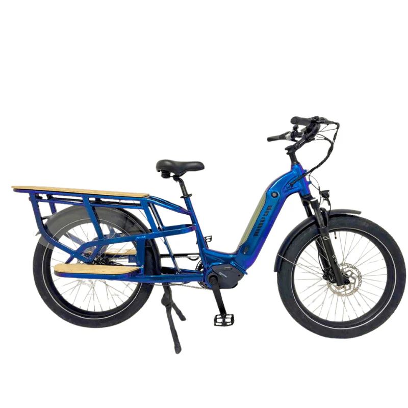 Revom Multi C2 Electric Transport Cargo Bike 250W - Charge & Glide