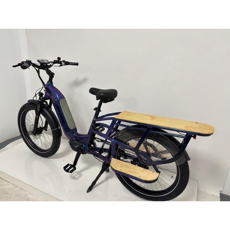 Revom Multi C2 Electric Transport Cargo Bike 250W - Charge & Glide