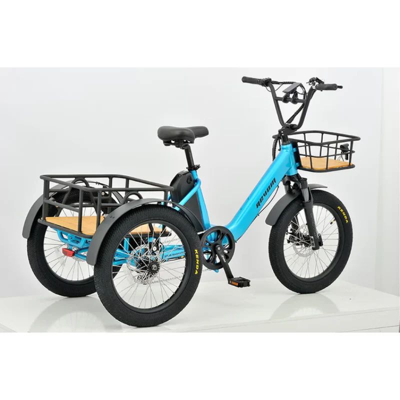 Revom T1 Urban Cargo Electric Trike 250W - Charge & Glide