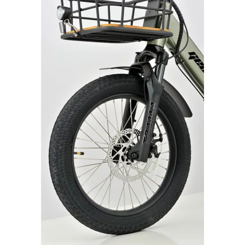 Revom T1 Urban Cargo Electric Trike 250W - Charge & Glide