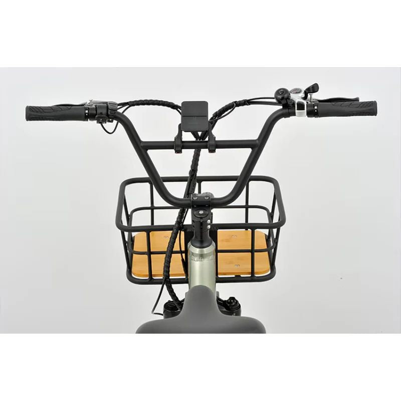 Revom T1 Urban Cargo Electric Trike 250W - Charge & Glide