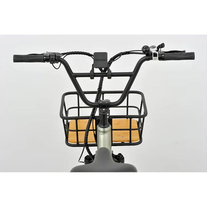 Revom T1 Urban Cargo Electric Trike 250W - Charge & Glide