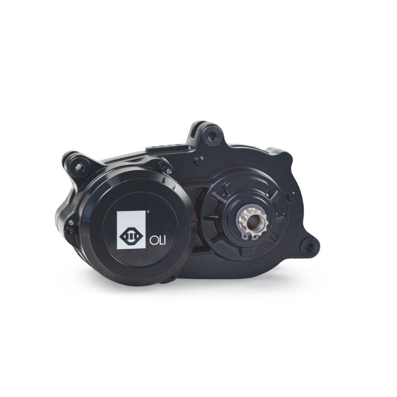 Revom T4 Semi-Recumbent Electric Tricycle 250W Charge & Glide