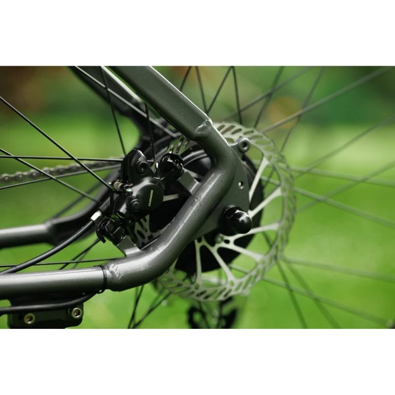 Roxform GRAVION Electric Mountain Bike 250W - 24-Speed Gears - Charge & Glide