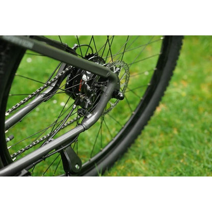 Roxform GRAVION Electric Mountain Bike 250W - 24-Speed Gears - Charge & Glide