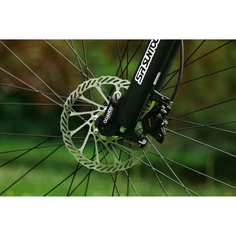 Roxform GRAVION Electric Mountain Bike 250W - 24-Speed Gears - Charge & Glide