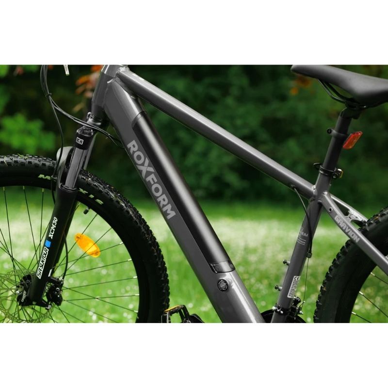 Roxform GRAVION Electric Mountain Bike 250W - 24-Speed Gears - Charge & Glide