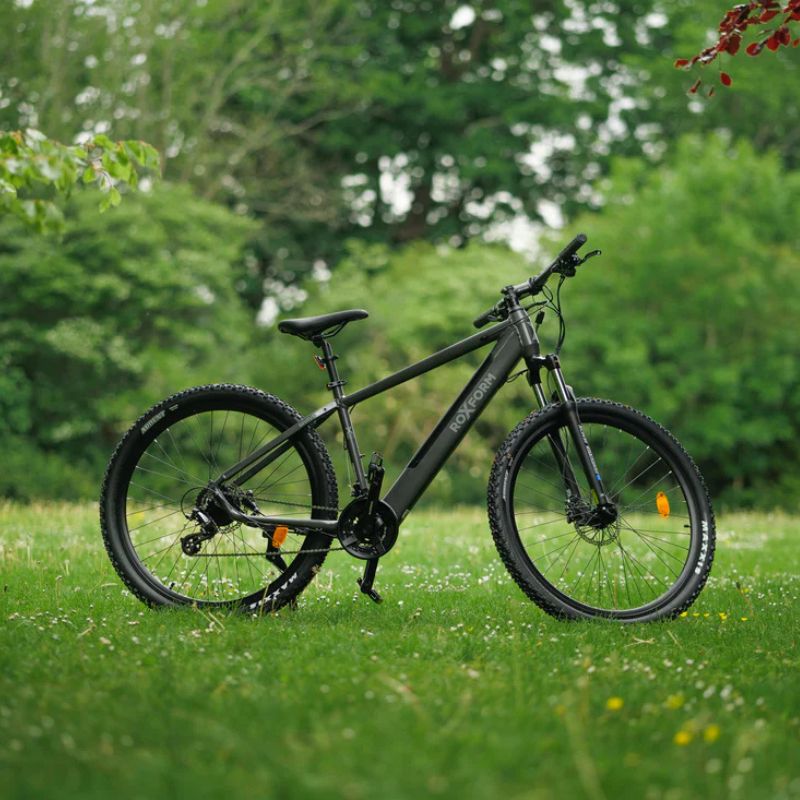 Roxform GRAVION Electric Mountain Bike 250W - 24-Speed Gears - Charge & Glide