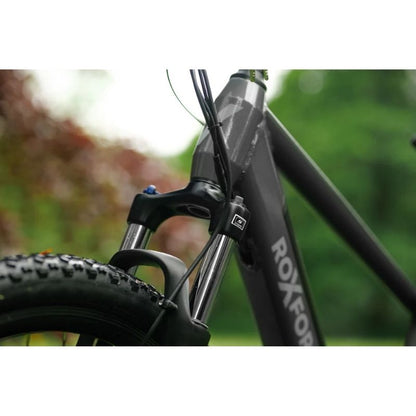 Roxform GRAVION Electric Mountain Bike 250W - 24-Speed Gears - Charge & Glide