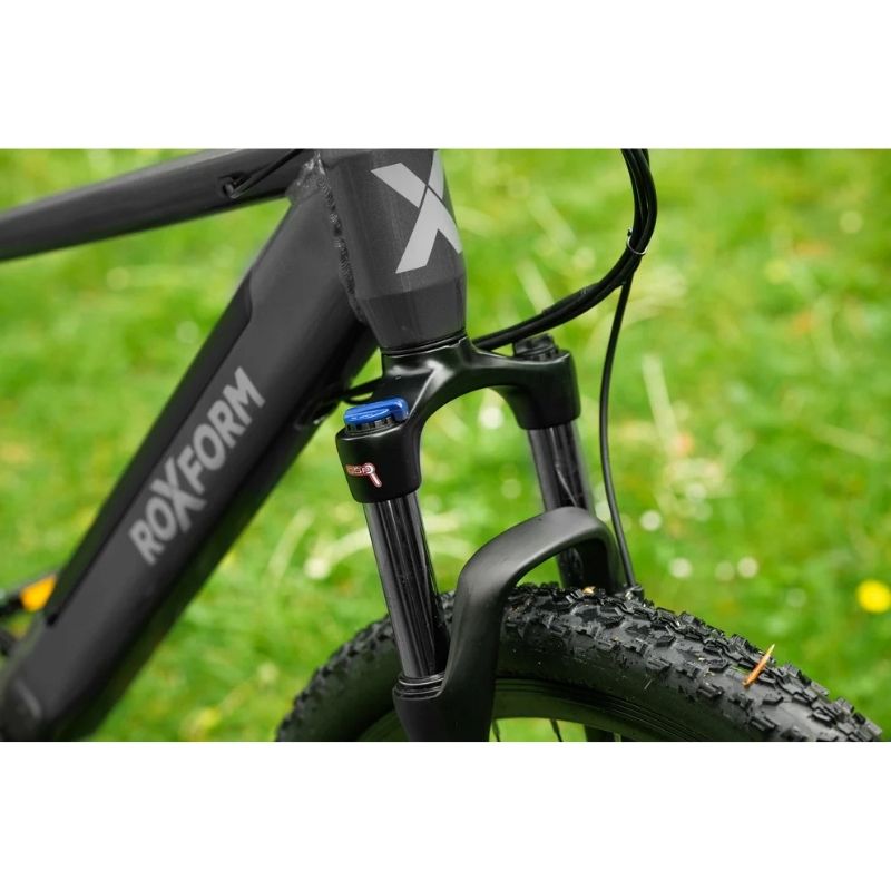 Roxform GRAVION Electric Mountain Bike 250W - 24-Speed Gears - Charge & Glide