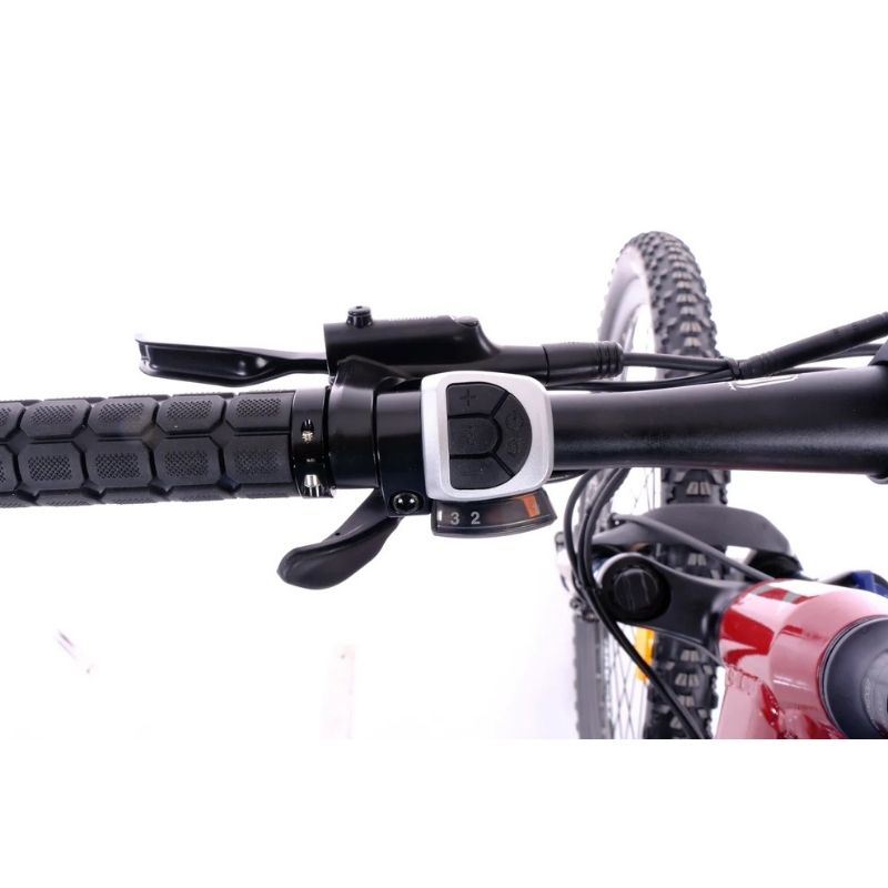 Roxform GRAVION Electric Mountain Bike 250W - 24-Speed Gears - Charge & Glide