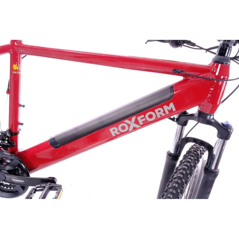 Roxform GRAVION Electric Mountain Bike 250W - 24-Speed Gears - Charge & Glide
