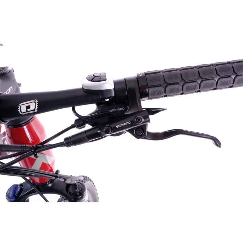Roxform GRAVION Electric Mountain Bike 250W - 24-Speed Gears - Charge & Glide