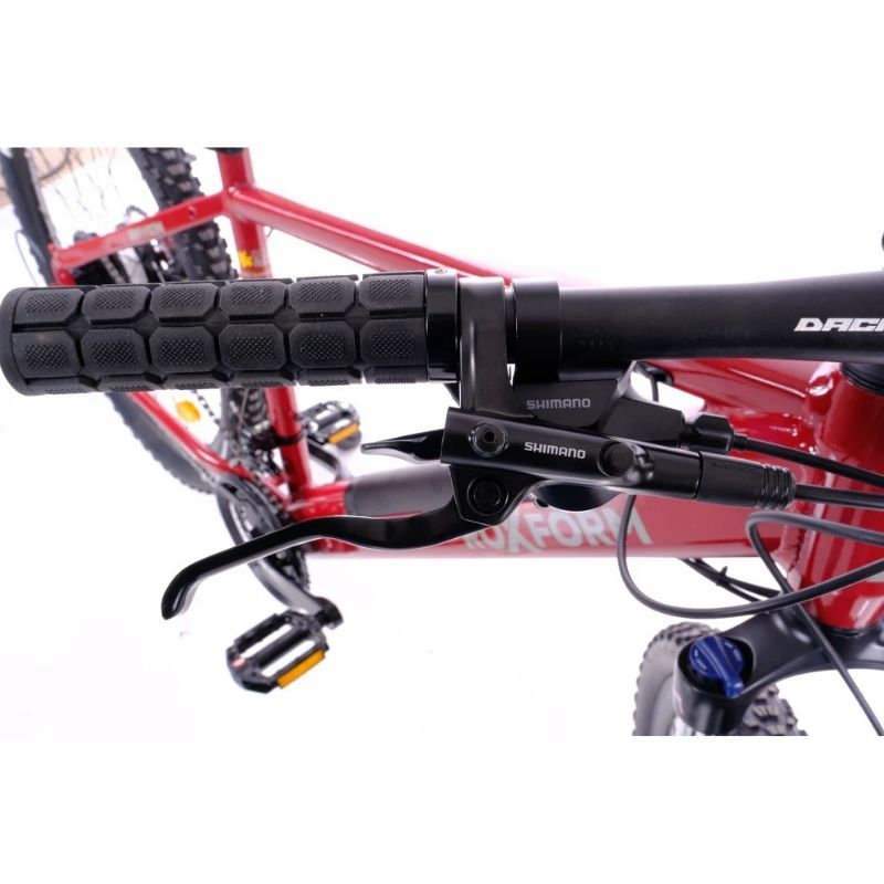 Roxform GRAVION Electric Mountain Bike 250W - 24-Speed Gears - Charge & Glide