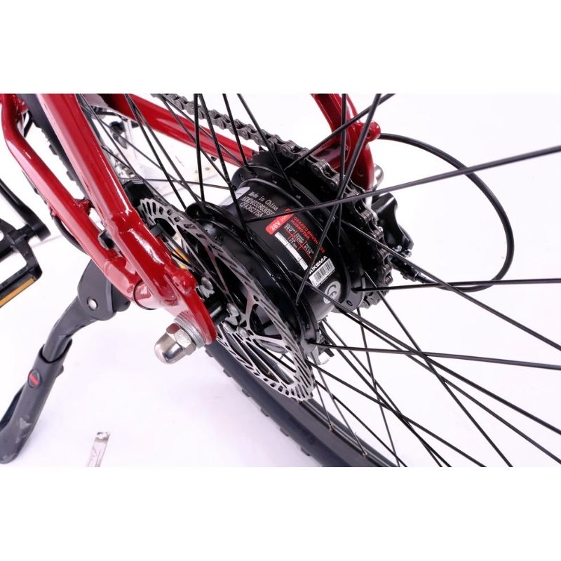 Roxform GRAVION Electric Mountain Bike 250W - 24-Speed Gears - Charge & Glide
