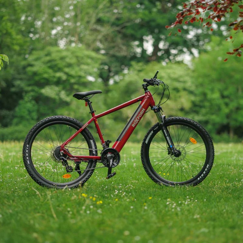 Roxform GRAVION Electric Mountain Bike 250W - 24-Speed Gears - Charge & Glide