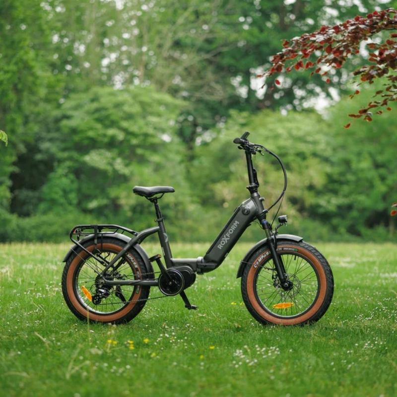 Roxform IGNIS Mid-Drive Step-Through Folding Electric Bike 250W - Charge & Glide