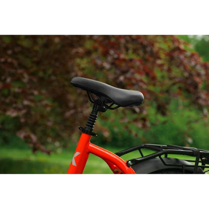 Roxform IGNIS Mid-Drive Step-Through Folding Electric Bike 250W - Charge & Glide