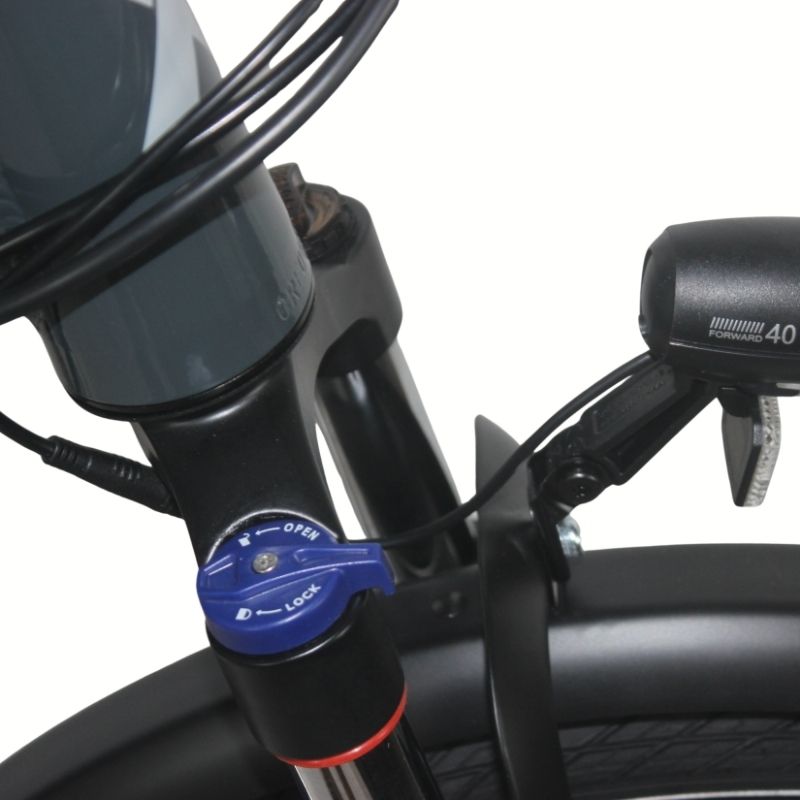 Roxform PLICO Step-Through Folding Electric Bike 250W - Up To 80km Range - Charge & Glide