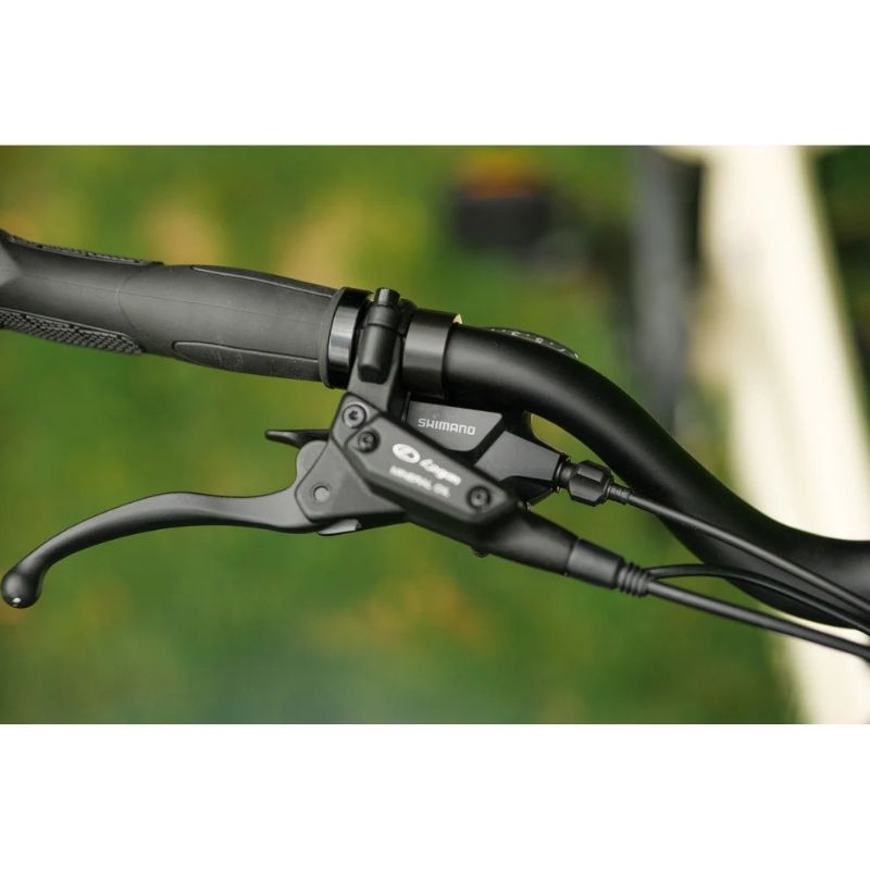 Roxform PORTO S Longtail Cargo Electric Bike 250W - Up To 80km Range - Charge & Glide