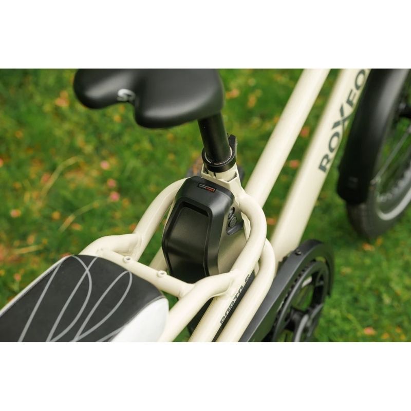 Roxform PORTO S Longtail Cargo Electric Bike 250W - Up To 80km Range - Charge & Glide