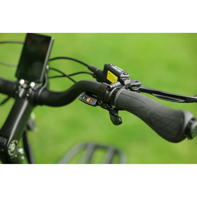 Roxform PORTO S Longtail Cargo Electric Bike 250W - Up To 80km Range - Charge & Glide