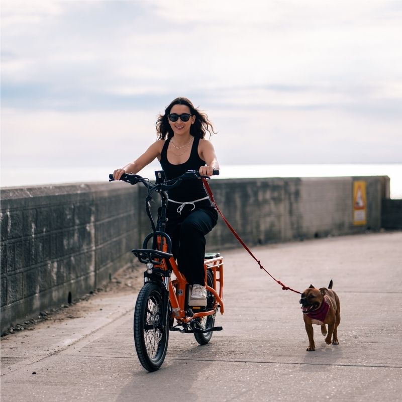 Roxform PORTO S Longtail Cargo Electric Bike 250W - Up To 80km Range - Charge & Glide