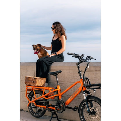 Roxform PORTO S Longtail Cargo Electric Bike 250W - Up To 80km Range - Charge & Glide