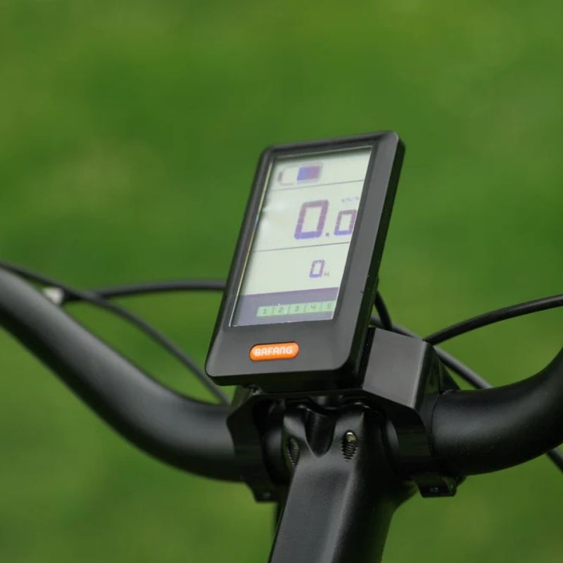 Roxform STRIDE L Mid-Drive Step-Through City Commuter Electric Bike 250W - Charge & Glide