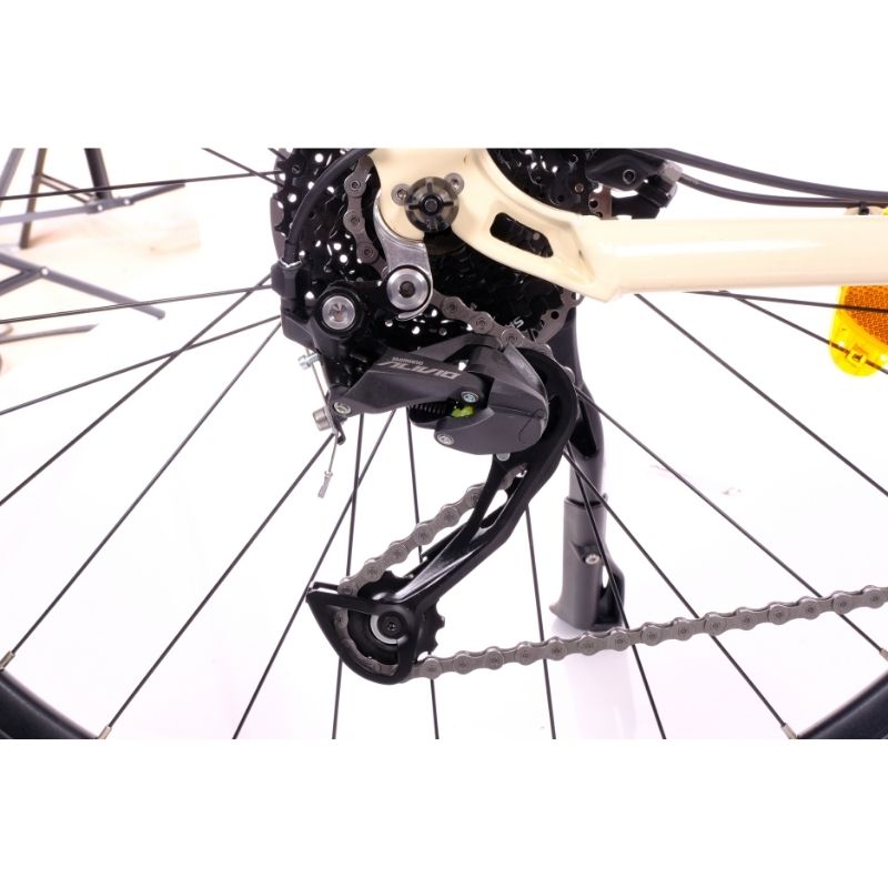 Roxform STRIDE L Mid-Drive Step-Through City Commuter Electric Bike 250W - Charge & Glide