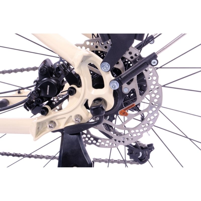 Roxform STRIDE L Mid-Drive Step-Through City Commuter Electric Bike 250W - Charge & Glide