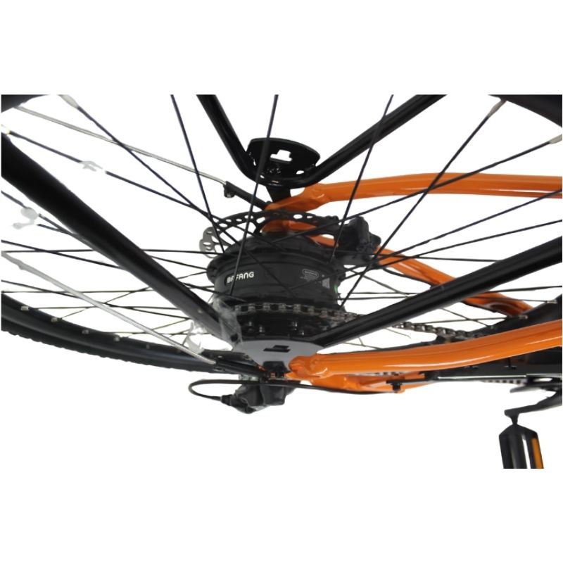 Roxform Stride S Plus Step-Through City Commuter Electric Bike 250W - Charge & Glide