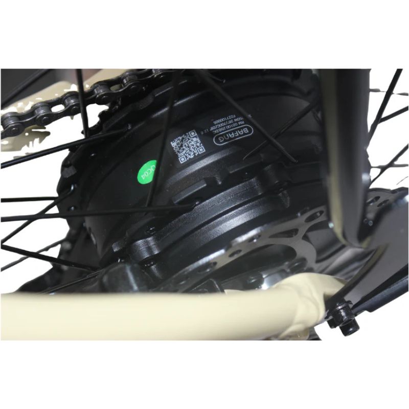 Roxform STRIDE S Plus Step-Through City Commuter Electric Bike 250W - Charge & Glide