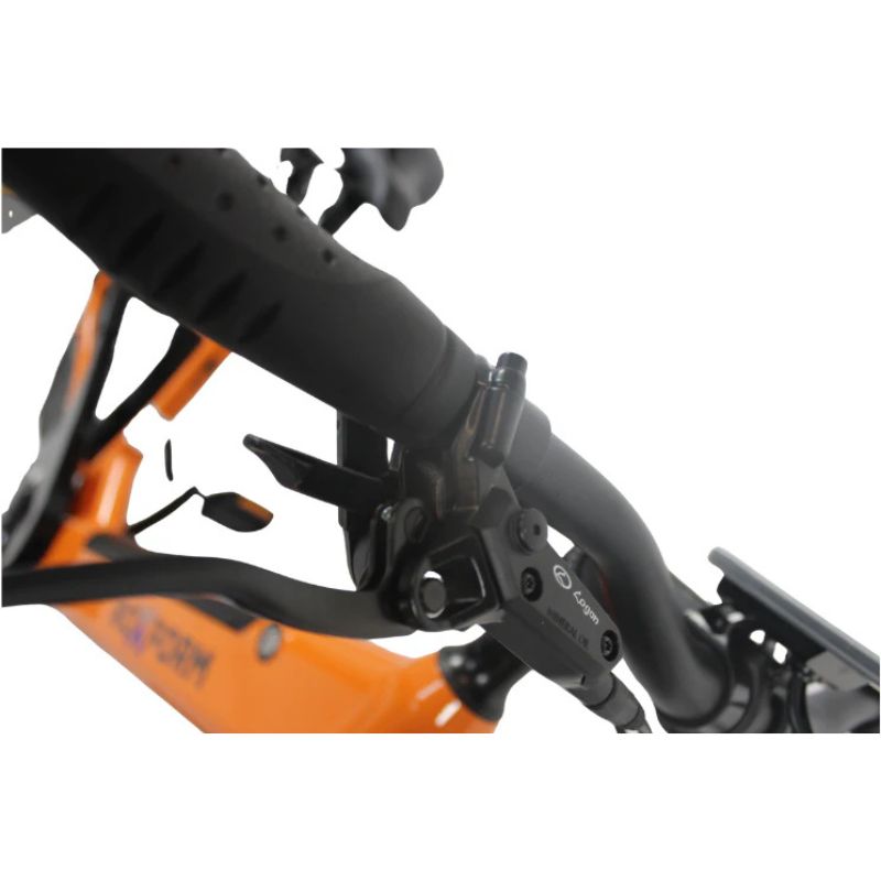 Roxform STRIDE S Plus Step-Through City Commuter Electric Bike 250W - Charge & Glide