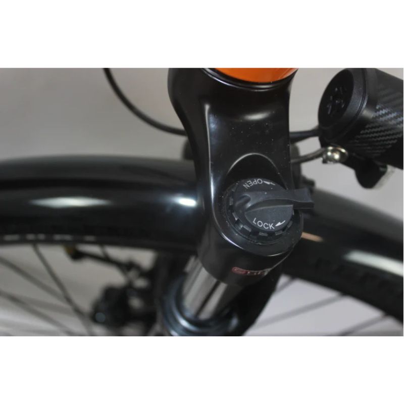 Roxform STRIDE S Plus Step-Through City Commuter Electric Bike 250W - Charge & Glide