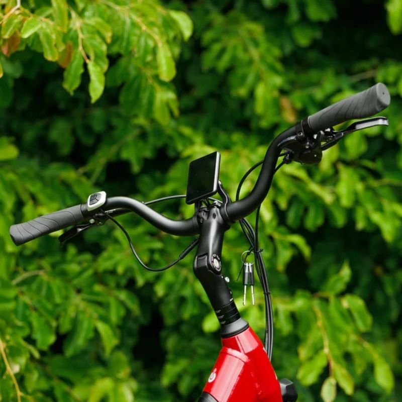 Roxform STRIDE S Step-Through City Commuter Electric Bike 250W - Charge & Glide