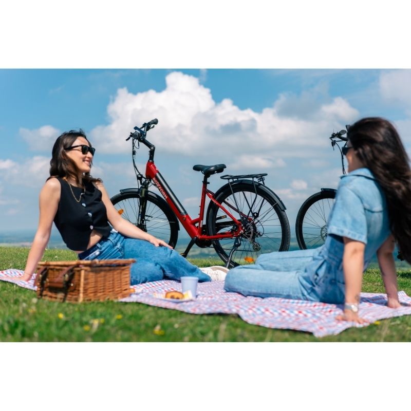 Roxform STRIDE S Step-Through City Commuter Electric Bike 250W - Charge & Glide