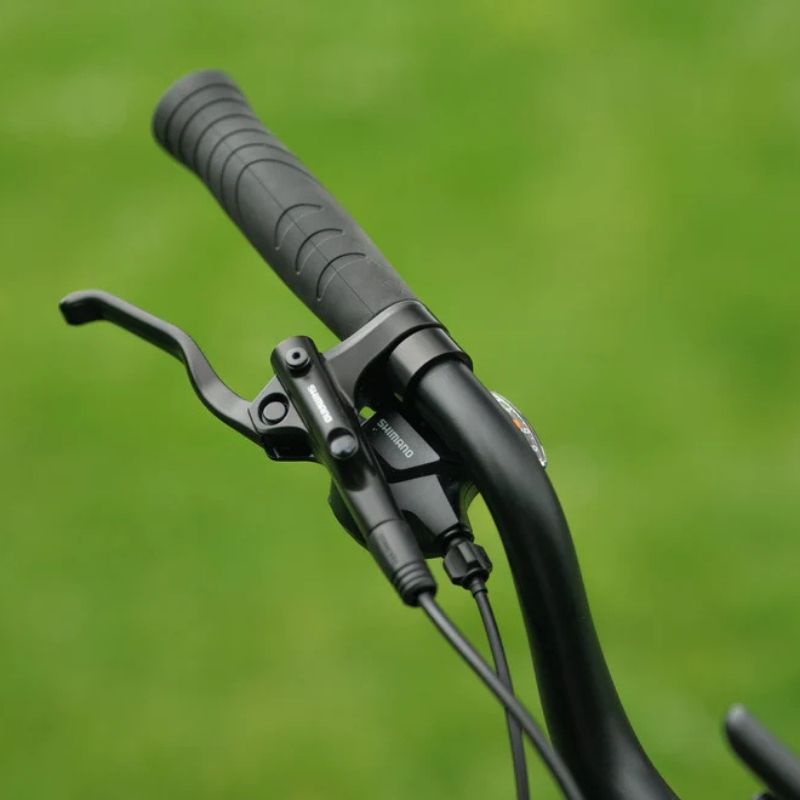 Roxform STRIDE S Step-Through City Commuter Electric Bike 250W - Charge & Glide