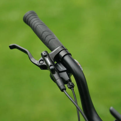 Roxform STRIDE S Step-Through City Commuter Electric Bike 250W - Charge & Glide