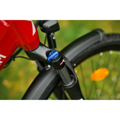 Roxform STRIDE S Step-Through City Commuter Electric Bike 250W - Charge & Glide
