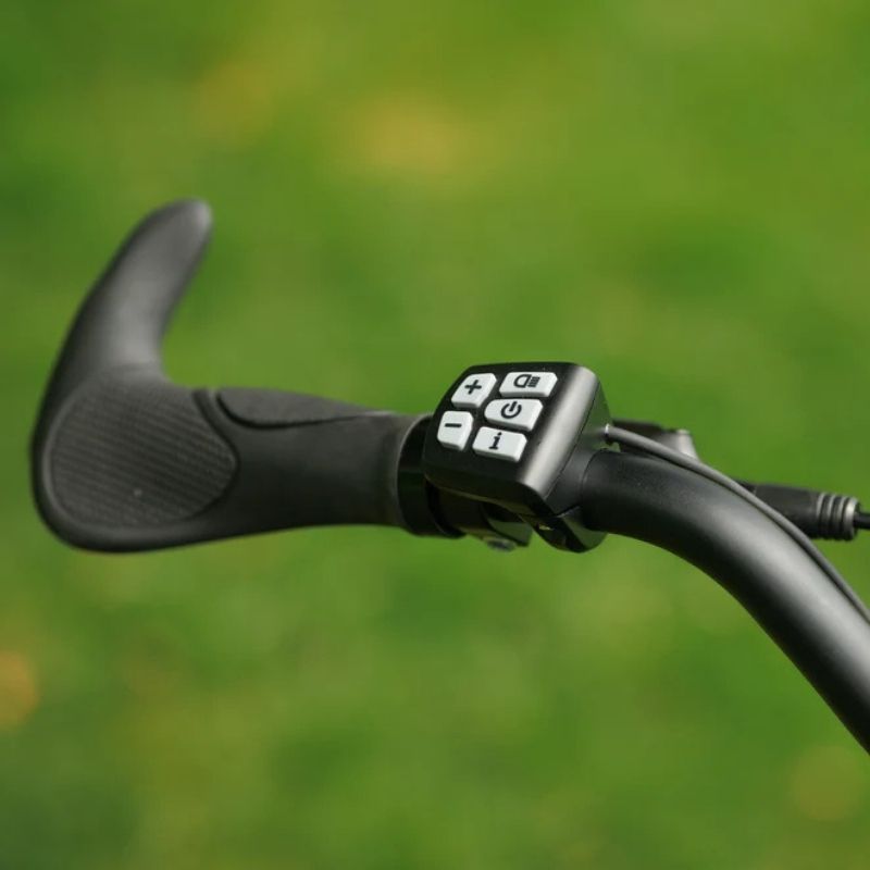 Roxform VENTURIS Mid-Drive Electric Mountain Bike 250W - 11-Speed Gears - Charge & Glide